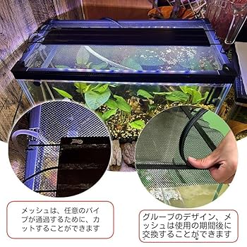 Amazon.co.jp: TRRCEPOS 水槽用 トカバー給餌窓付き メダカ水槽